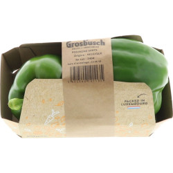 POIVRON VERT GROSBUSCH PREPACK 7X2PCS
